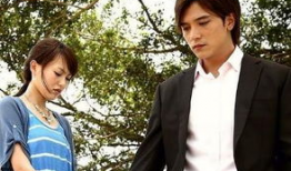 爱情真善美电视剧全集,跨越时空的浪漫传奇