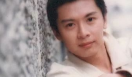 何宝生电视剧,演绎传奇人生，诠释情感纠葛