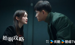 复仇的电视剧,爱恨交织的复仇传奇