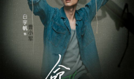 命运 电视剧,电视剧中的命运轨迹与人生抉择