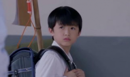 贤妻良母电视剧演员表,实力派演员阵容演绎温馨家庭生活