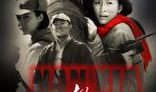 南下电视剧剧情介绍,风雨征程，热血青春