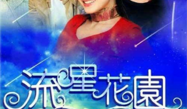 偶像 电视剧,电视剧中的璀璨星光