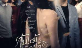 复仇的电视剧,爱恨交织的复仇传奇