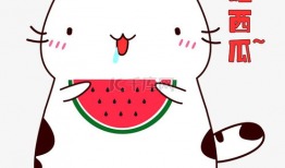 吃瓜爆料图片大全表情包可爱,吃瓜爆料表情包大盘点，可爱爆表！