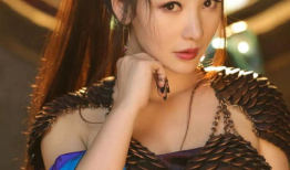 柳岩 电视剧,电视剧中的璀璨星光