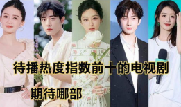 排名前十的电视剧,年度佳作，精彩纷呈