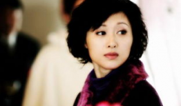 贤妻良母电视剧演员表,实力派演员阵容演绎温馨家庭生活