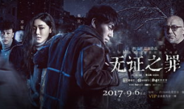 无证之罪电视剧,迷雾重重的罪案追踪