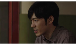 真相电视剧,揭开迷雾，探寻真相的惊心动魄之旅