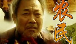 根  电视剧,探寻家族血脉的传奇之旅