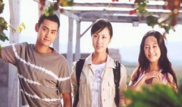 双胞胎电视剧,命运交织的孪生姐妹传奇