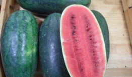 兰州吃瓜爆料黑料视频,揭秘视频中的惊人黑料