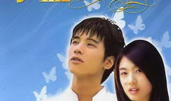 地道战电视剧演员表,重温经典，致敬英雄岁月