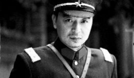 张晞临主演的电视剧,揭秘剧中角色背后的故事