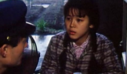 电视剧新星,崛起的青春传奇