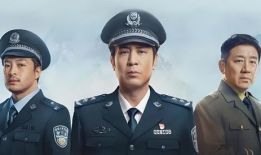 公安电视剧,揭秘公安英雄的生死较量