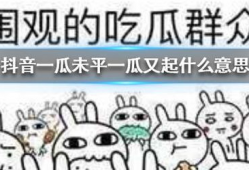 抖音关于吃瓜爆料梗,揭秘网络热点背后的真相