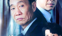 电视剧龙年档案演员表,揭秘神秘档案背后的传奇人物与惊险故事