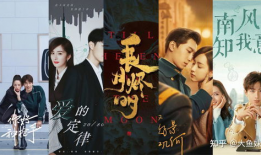 排名前十的电视剧,年度佳作，精彩纷呈