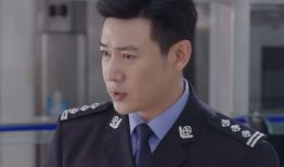 公安电视剧,揭秘公安英雄的生死较量