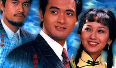 经典老电视剧,经典老电视剧中的时代印记与情感共鸣