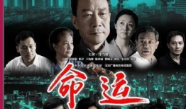 命运 电视剧,电视剧中的命运轨迹与人生抉择