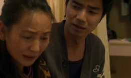 未婚妻电视剧,甜蜜爱情与成长之旅