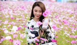 贤妻良母电视剧演员表,实力派演员阵容演绎温馨家庭生活