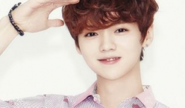 鹿晗演过的电视剧,电视剧作品集锦