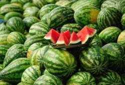 康县网红吃瓜视频爆料,一场网络热议背后的真相