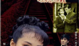 一路风雨一世情电视剧,一路相伴，共度人生