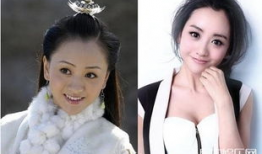 杨蓉演的电视剧,情感纠葛与命运交织的精彩篇章