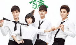 致青春电视剧,青春岁月里的爱情与成长